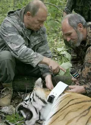 Путин, тигр и iPhone 3G
